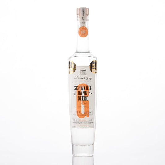 Schwarze Johannisbeere - Edelhof1514